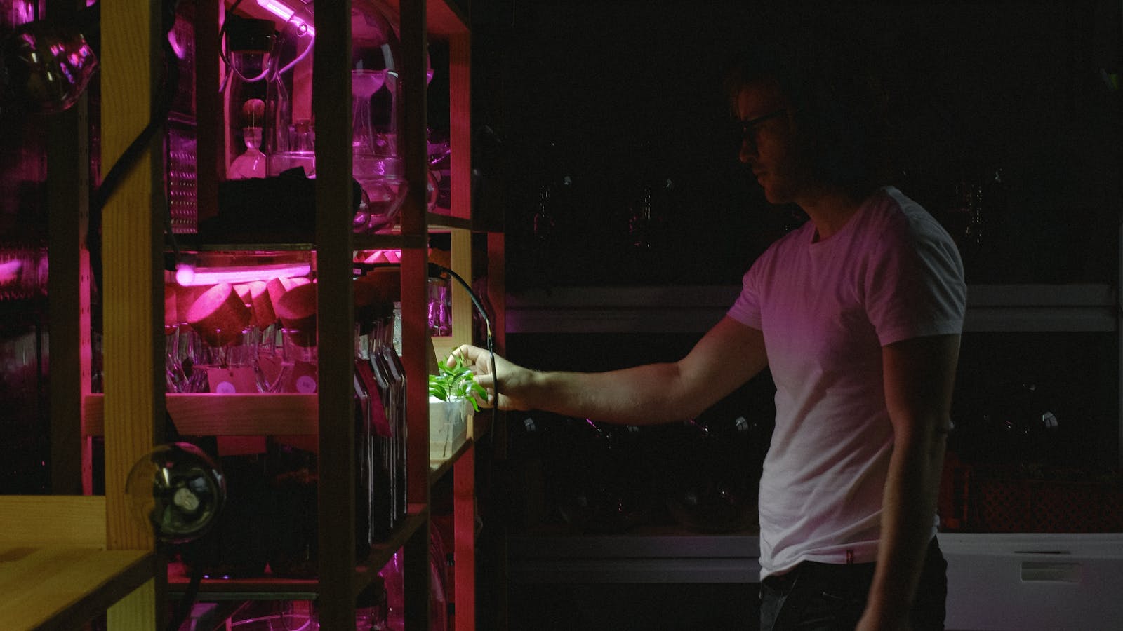 Grow Light Vollspektrum: Was bringt es wirklich? Plus Top 5 Empfehlungen