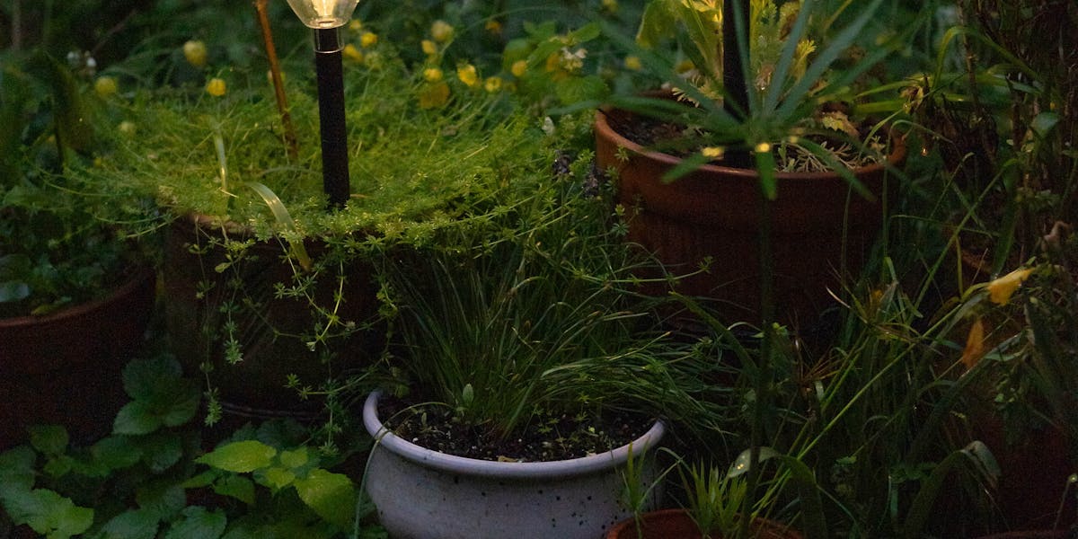 Niedervolt-Gartenbeleuchtung 12V und 24V: Warum Plug & Shine, Lightpro und Co. die ehrlichere Antwort auf Solar-Frust sind — und worauf es bei Trafo, Kabel und Spannungsfall wirklich ankommt